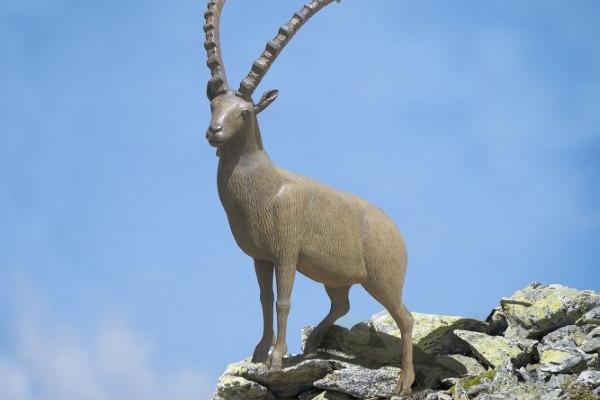Sculture